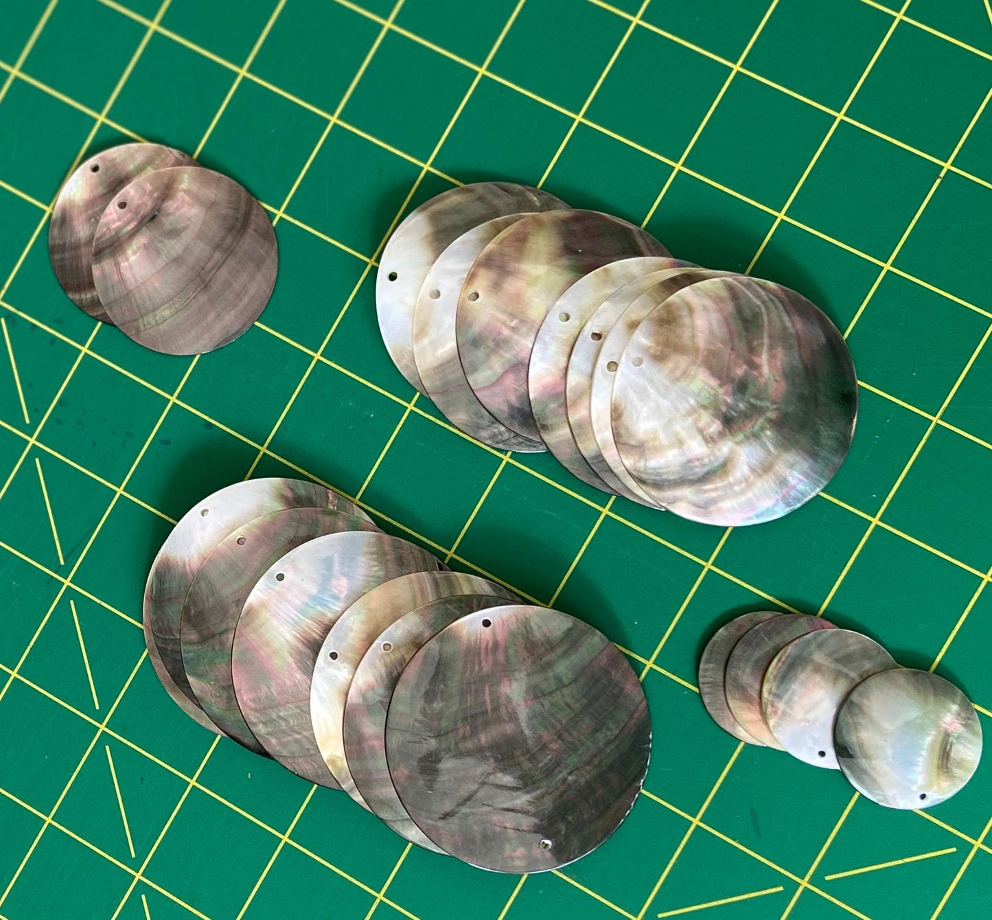 Mother of Pearl Seashells