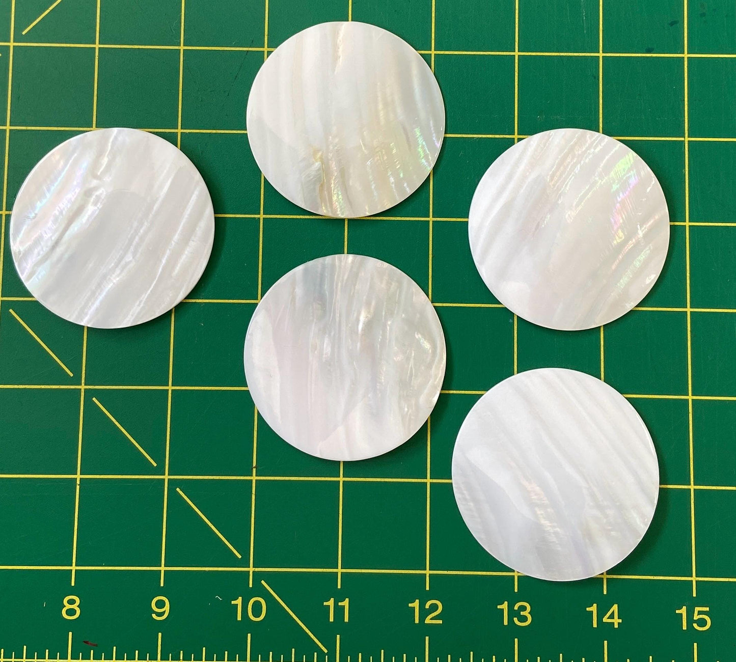 2.5" White Mother of Pearl Seashells