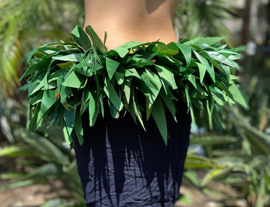Long Silk Ti Leaf Hip Hei Extra Full Premium Braided Hip Belt Ti & Variegated Leaves Ori Tahiti, Hula Kahiko, Polynesian Dance