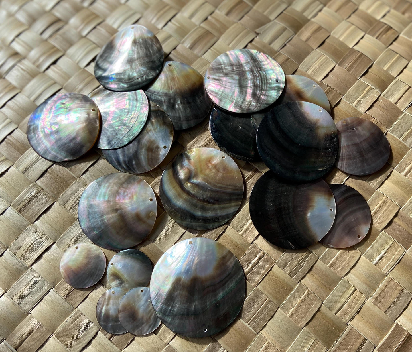 Mother of Pearl Seashells