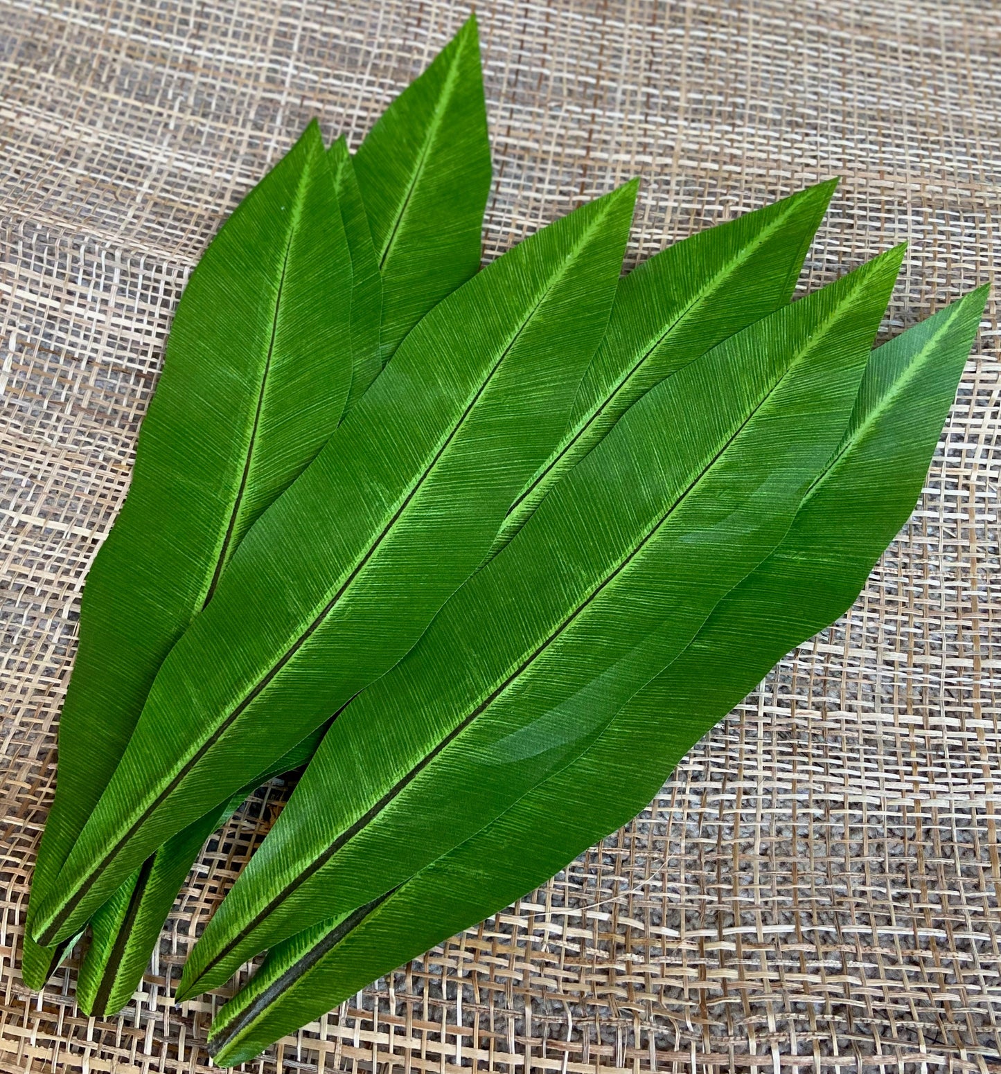 Premium Artificial Silk Ti Leaves