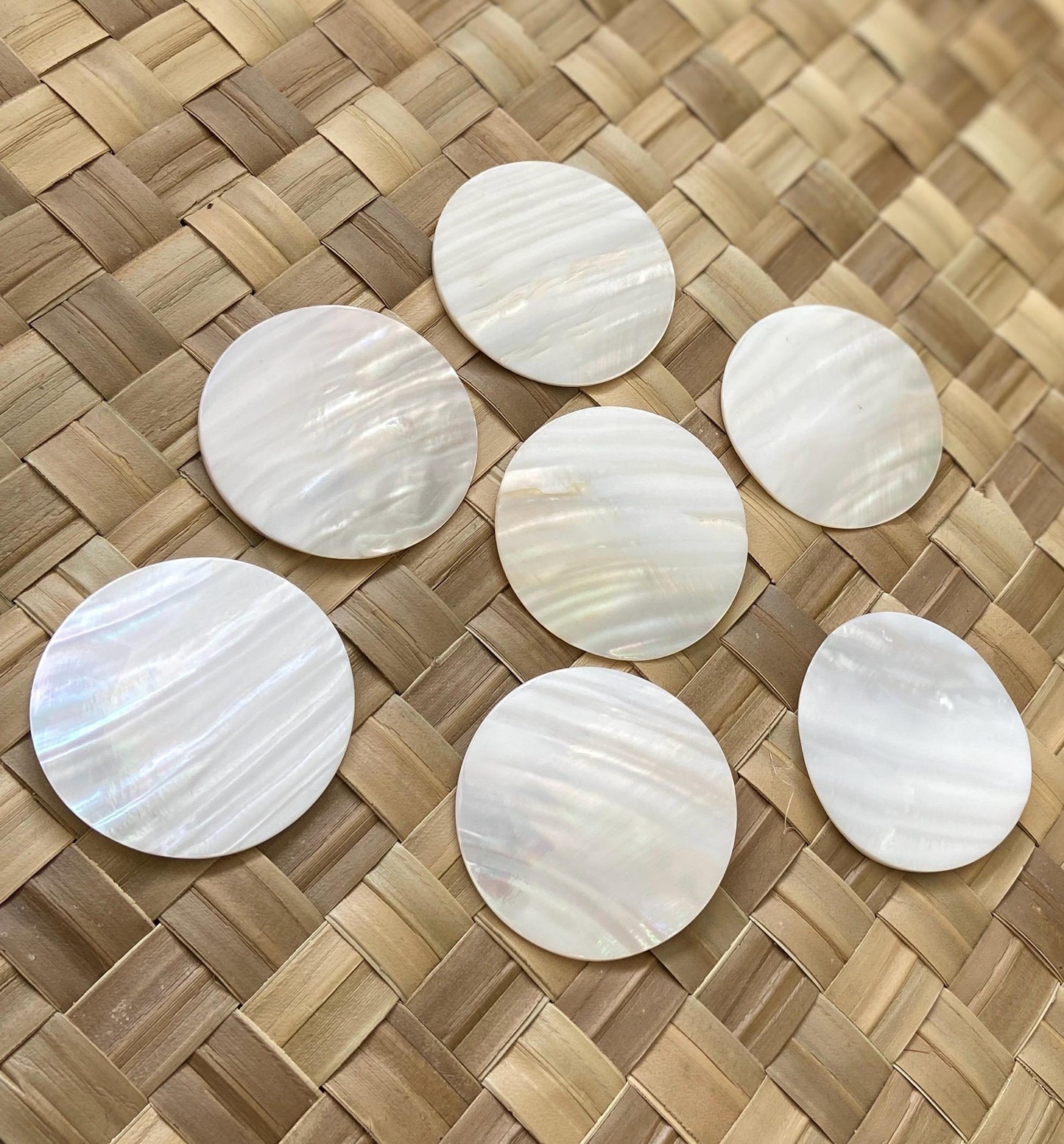 2.5" White Mother of Pearl Seashells