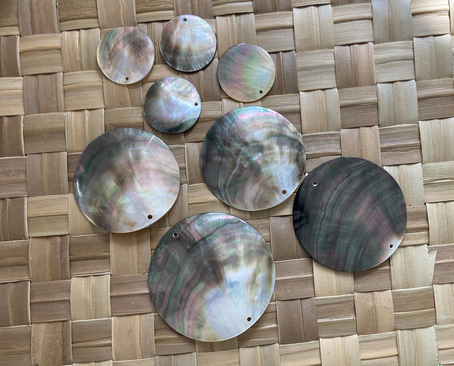 Mother of Pearl Seashells