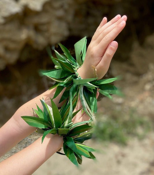 Kupe'e with Choice of Ti, Croton, Song-of-India, or Variegated Leaves