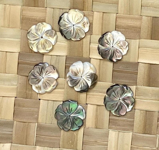 Baby Hibiscus Mother of Pearl Seashells