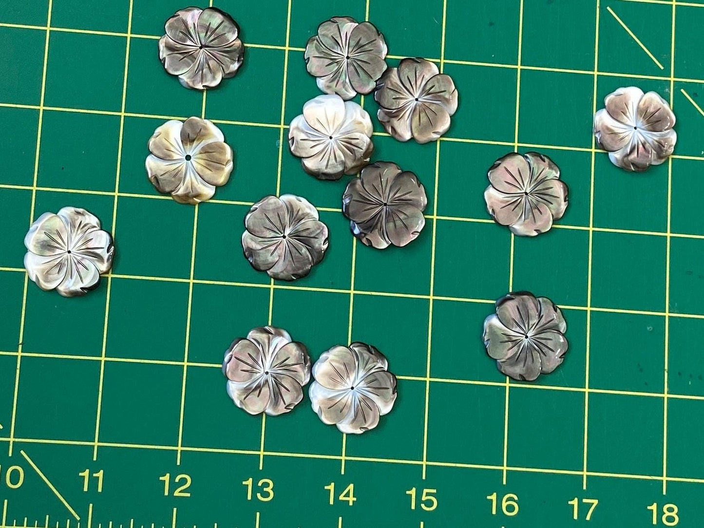 Baby Hibiscus Mother of Pearl Seashells