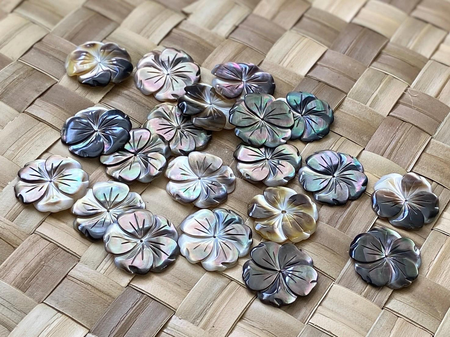 Baby Hibiscus Mother of Pearl Seashells